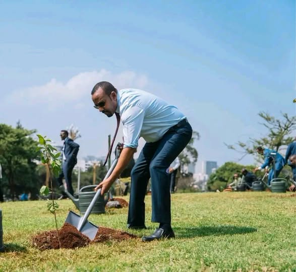 “አረንጓዴ ዐሻራ ኢትዮጵያ የተገለጠችበት ደማቅ ብሔራዊ ቀለም ነው”፡- ምክትል ጠቅላይ ሚኒስትር ተመስገን ጥሩነህ