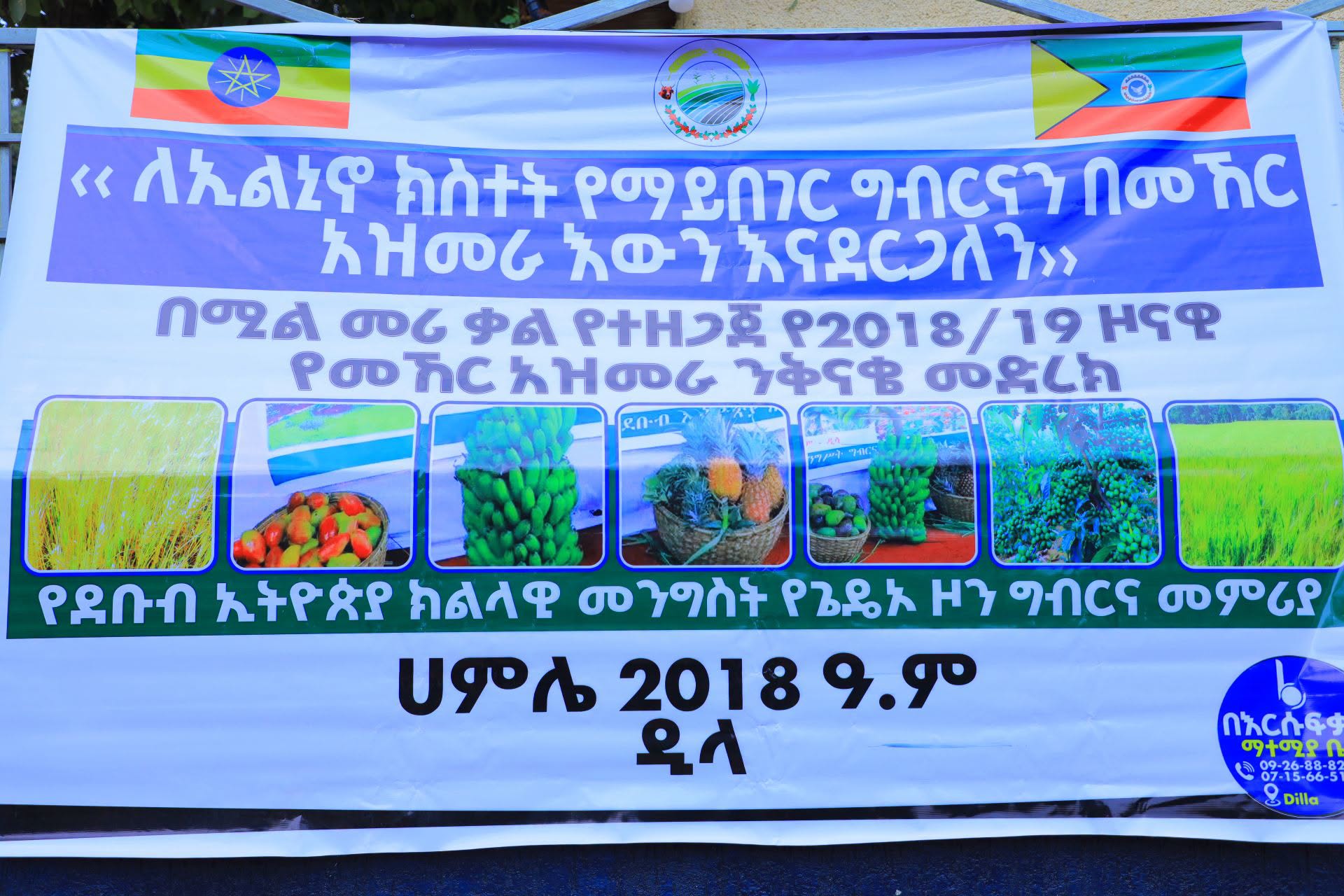 በ2018 የመኸር አዝመራ 26 ሺህ 158 ሄክታር መሬት በዓመታዊ ሰብሎች ይሸፈናል:- የጌዴኦ ዞን ግብርና መምሪያ